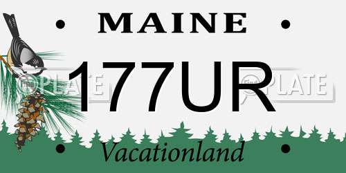 177UR Maine License Plate
