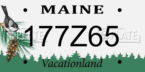 177Z65 Maine License Plate