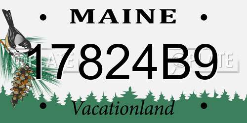 17824B9 Maine License Plate