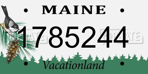 1785244 Maine License Plate