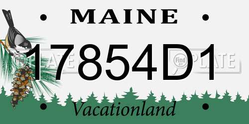 17854D1 Maine License Plate