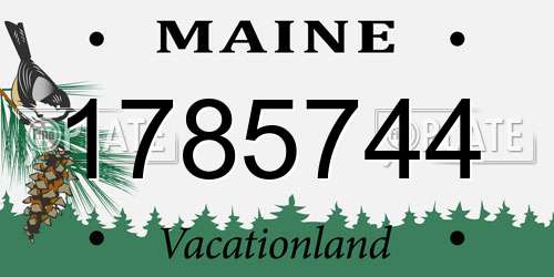 1785744 Maine License Plate