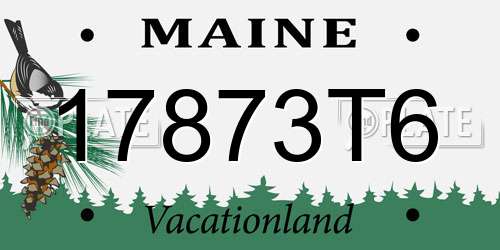 17873T6 Maine License Plate