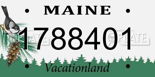 1788401 Maine License Plate