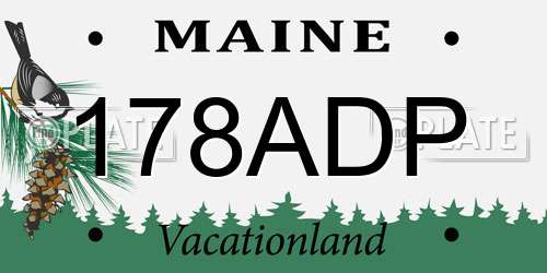 178ADP Maine License Plate