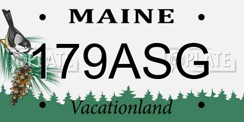 179ASG Maine License Plate