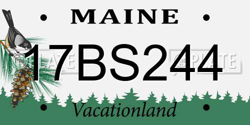 17BS244 Maine License Plate