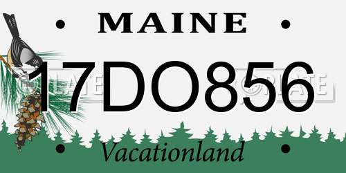 17DO856 Maine License Plate