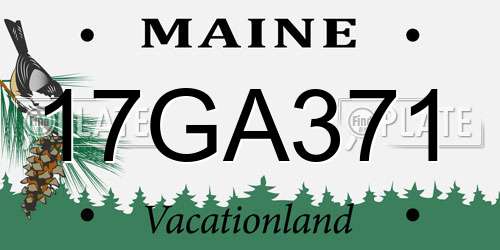 17GA371 Maine License Plate