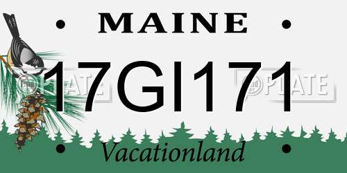 17GI171 Maine License Plate