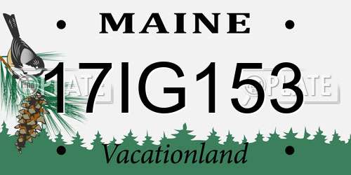 17IG153 Maine License Plate