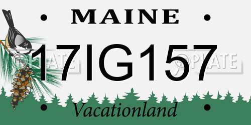 17IG157 Maine License Plate