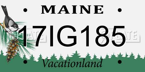17IG185 Maine License Plate