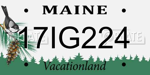 17IG224 Maine License Plate