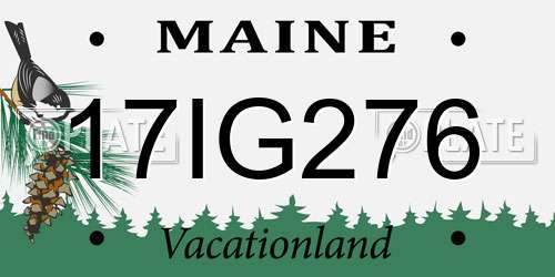17IG276 Maine License Plate