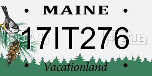 17IT276 Maine License Plate