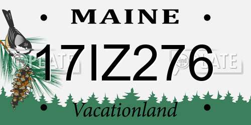 17IZ276 Maine License Plate