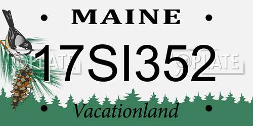 17SI352 Maine License Plate
