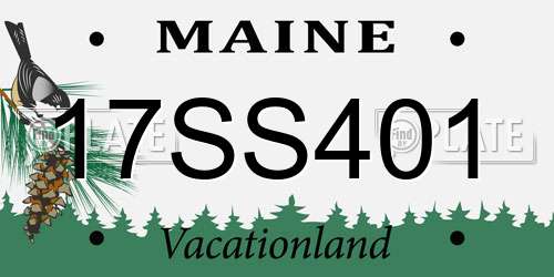 17SS401 Maine License Plate