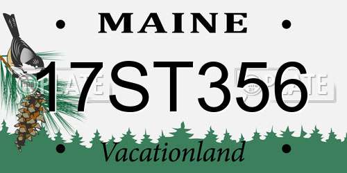 17ST356 Maine License Plate