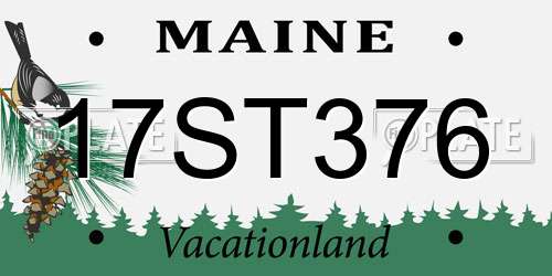17ST376 Maine License Plate