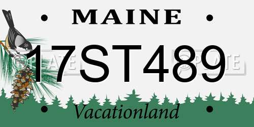 17ST489 Maine License Plate