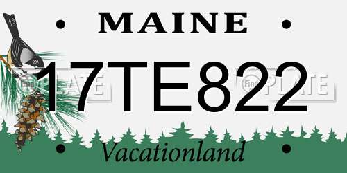 17TE822 Maine License Plate