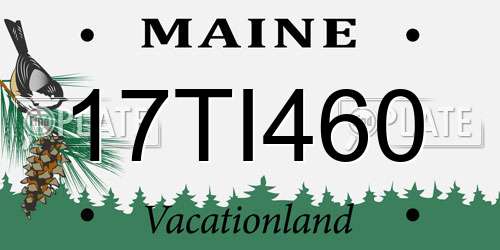 17TI460 Maine License Plate