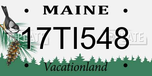 17TI548 Maine License Plate