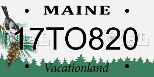 17TO820 Maine License Plate