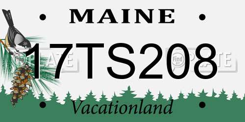 17TS208 Maine License Plate