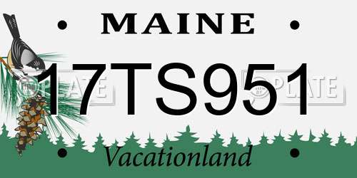 17TS951 Maine License Plate