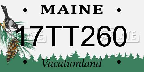 17TT260 Maine License Plate