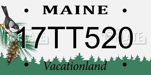 17TT520 Maine License Plate