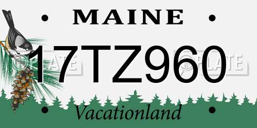 17TZ960 Maine License Plate