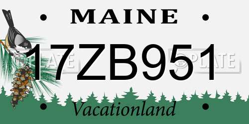 17ZB951 Maine License Plate