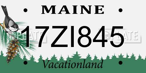 17ZI845 Maine License Plate