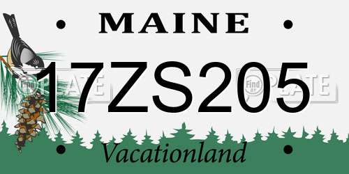 17ZS205 Maine License Plate