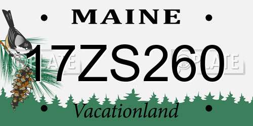 17ZS260 Maine License Plate