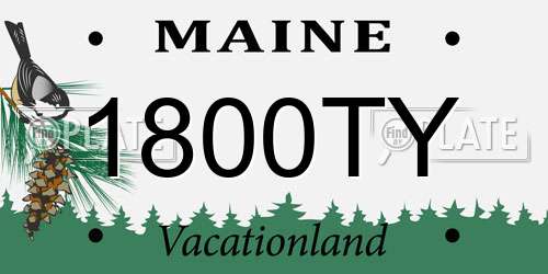 1800TY Maine License Plate