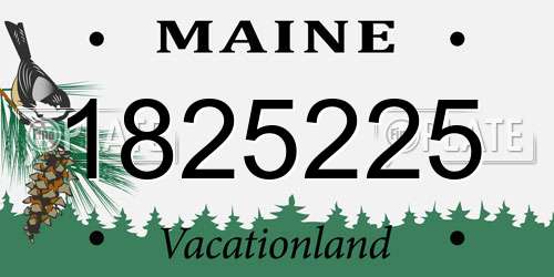 1825225 Maine License Plate