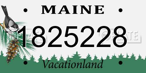 1825228 Maine License Plate