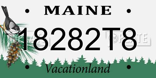 18282T8 Maine License Plate