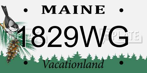1829WG Maine License Plate