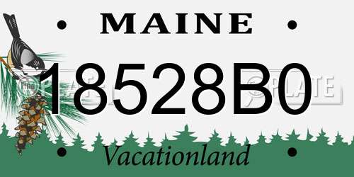 18528B0 Maine License Plate