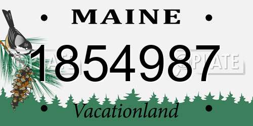 1854987 Maine License Plate
