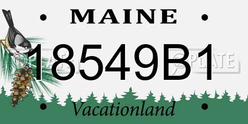 18549B1 Maine License Plate