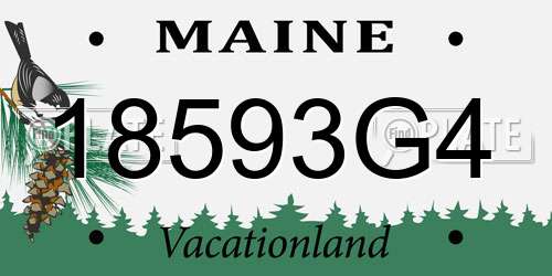 18593G4 Maine License Plate
