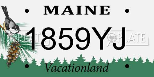 1859YJ Maine License Plate