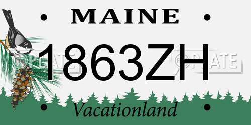 1863ZH Maine License Plate